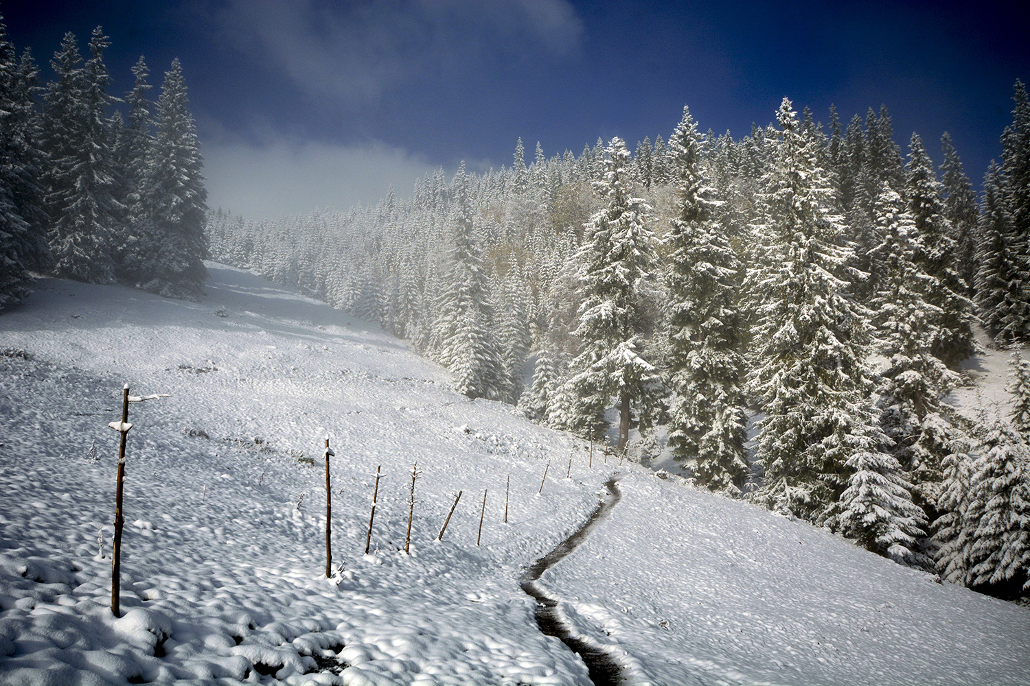 photo "***" tags: landscape, snow, Карпаты