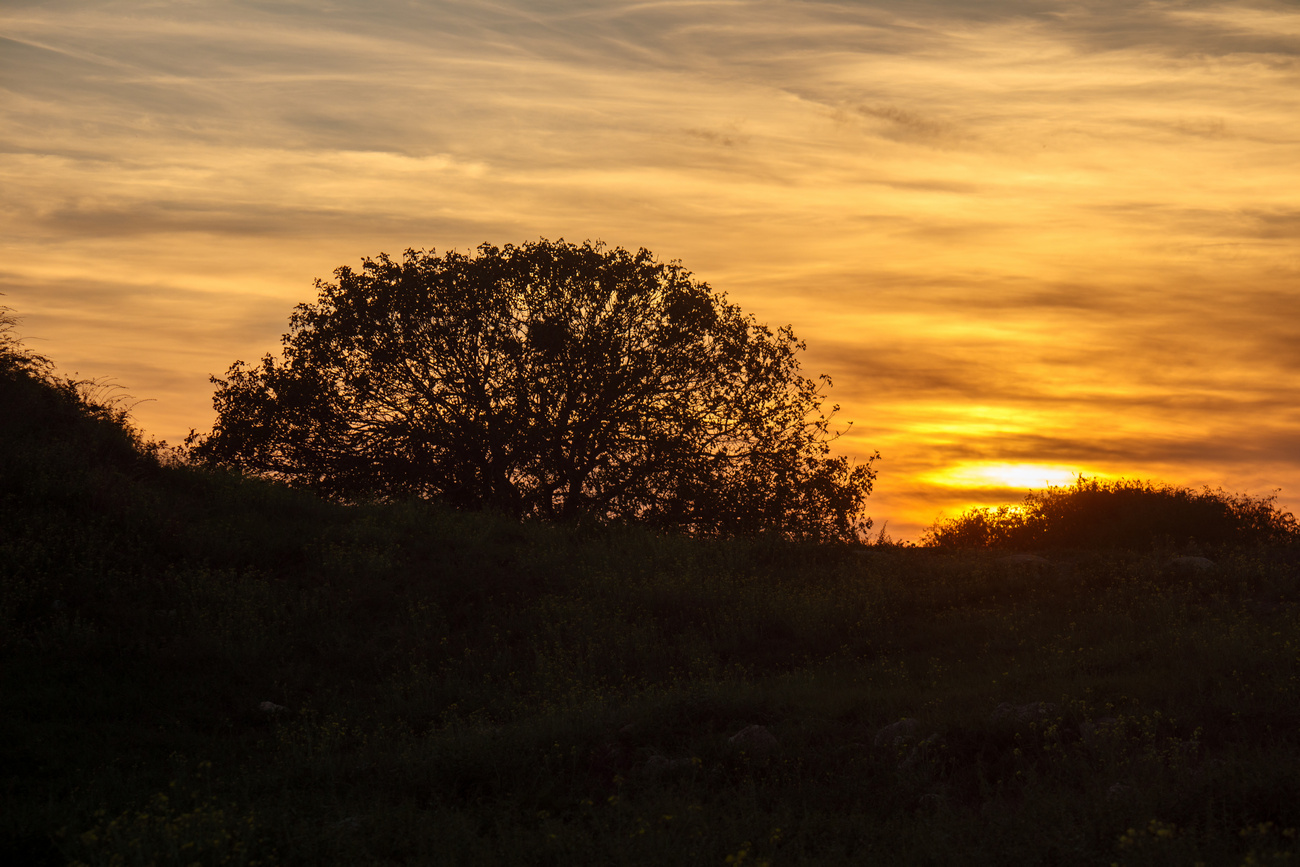 photo "***" tags: landscape, 