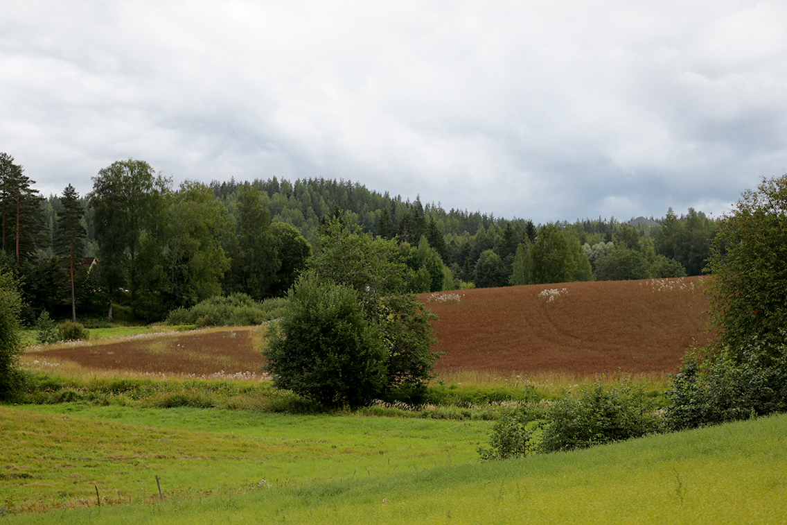 photo "***" tags: landscape, 