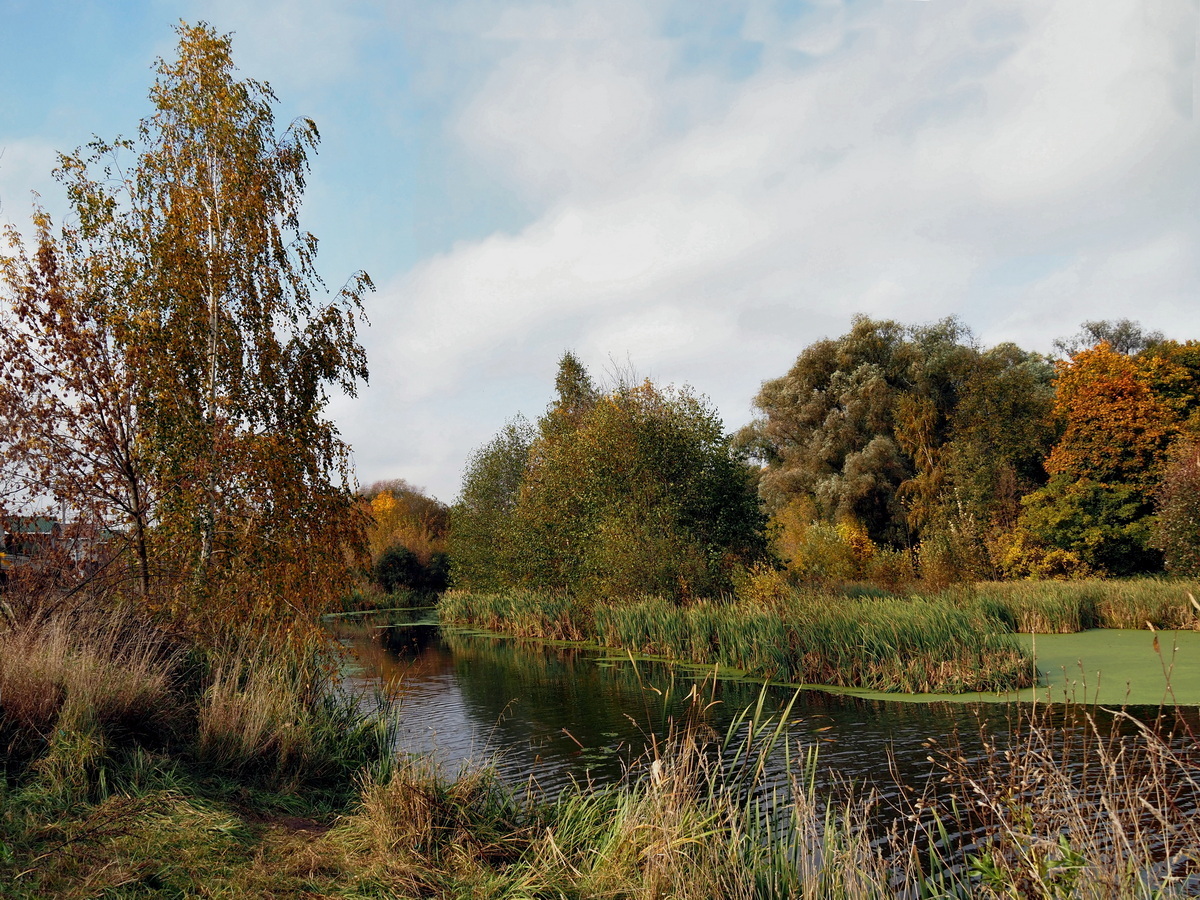 photo "***" tags: landscape, autumn, river