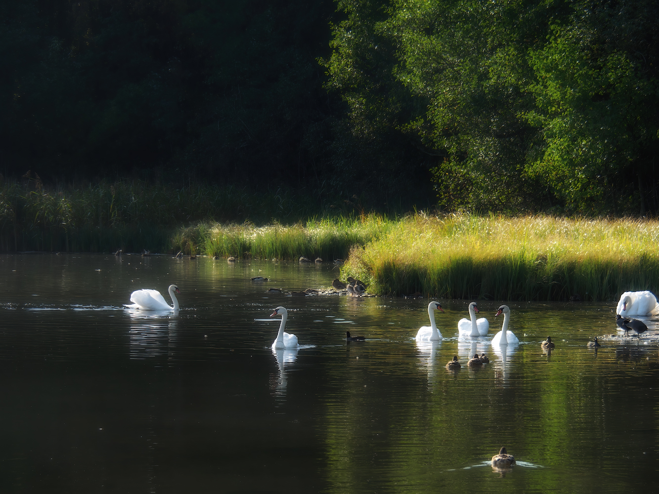 фото "***" метки: природа, 