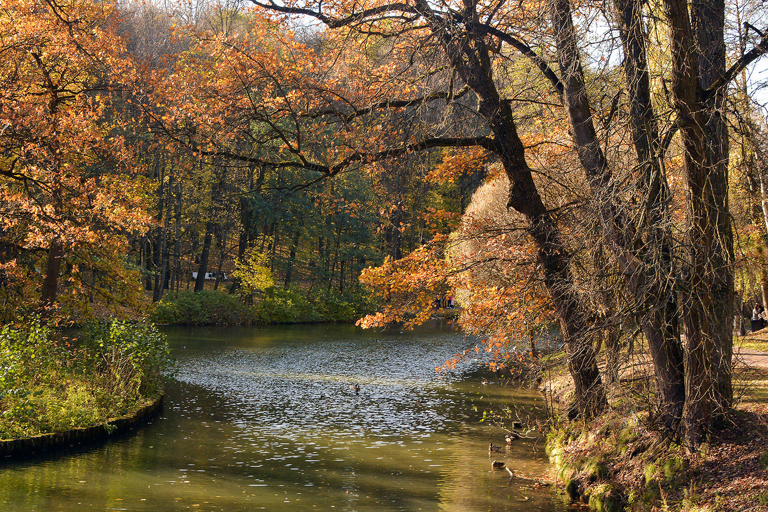 photo "***" tags: landscape, autumn, Царицыно
