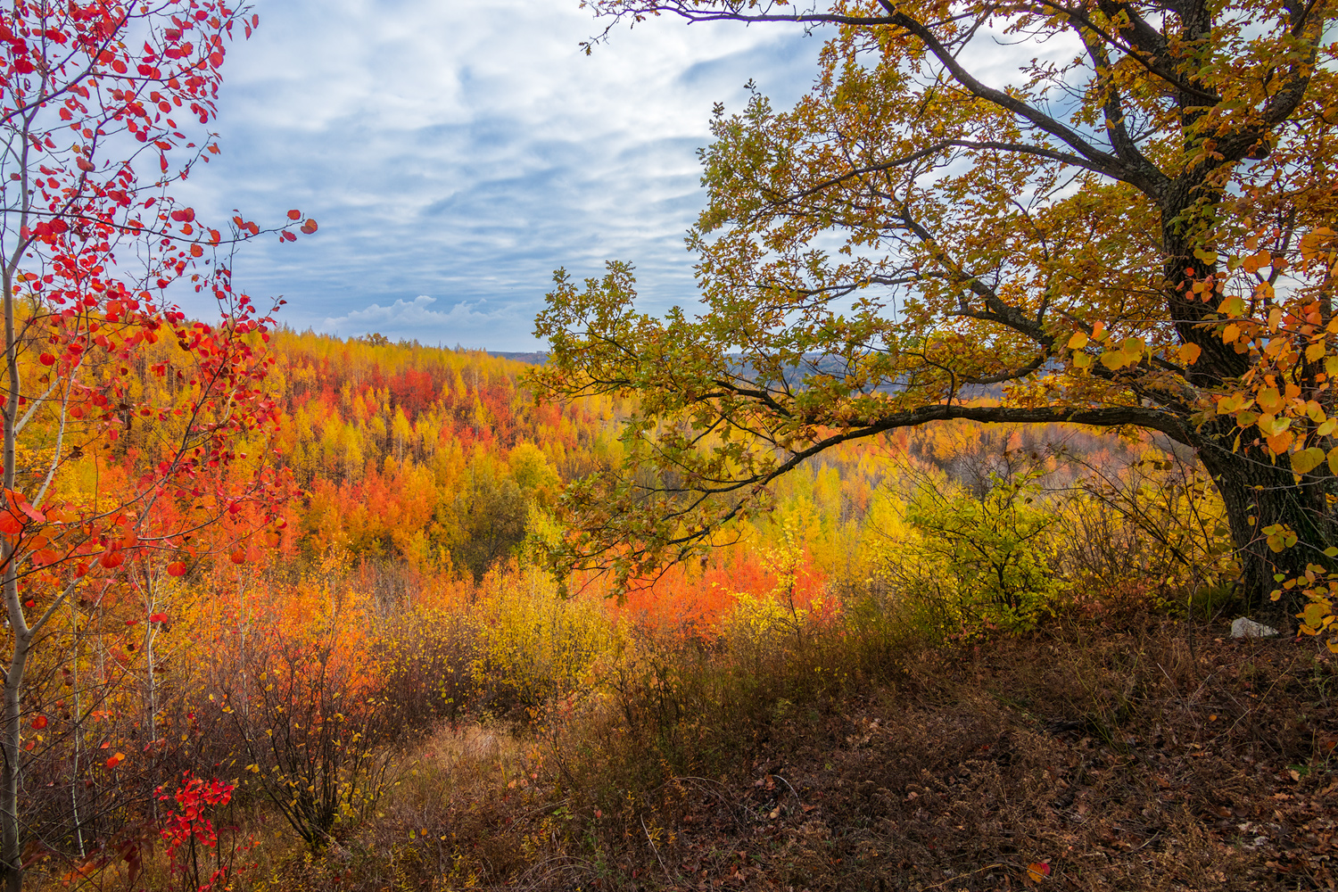 photo "***" tags: landscape, 