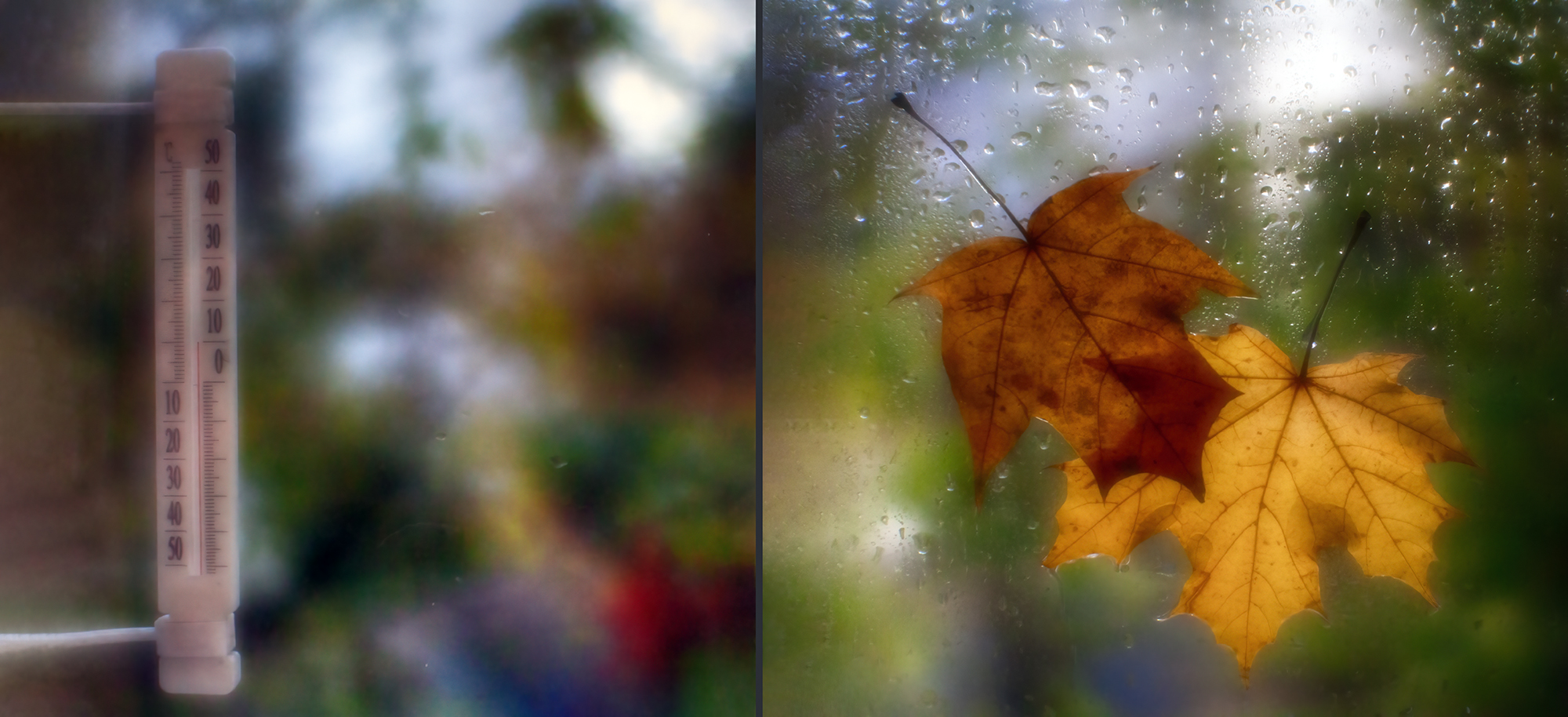photo "***" tags: , 