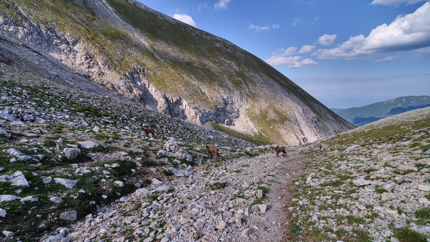 photo "***" tags: landscape, nature, 