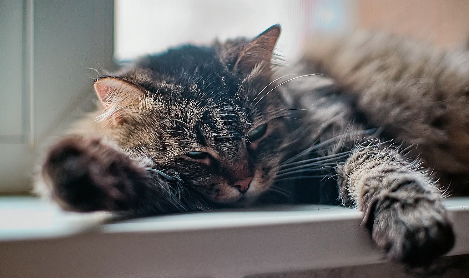 photo "***" tags: , 