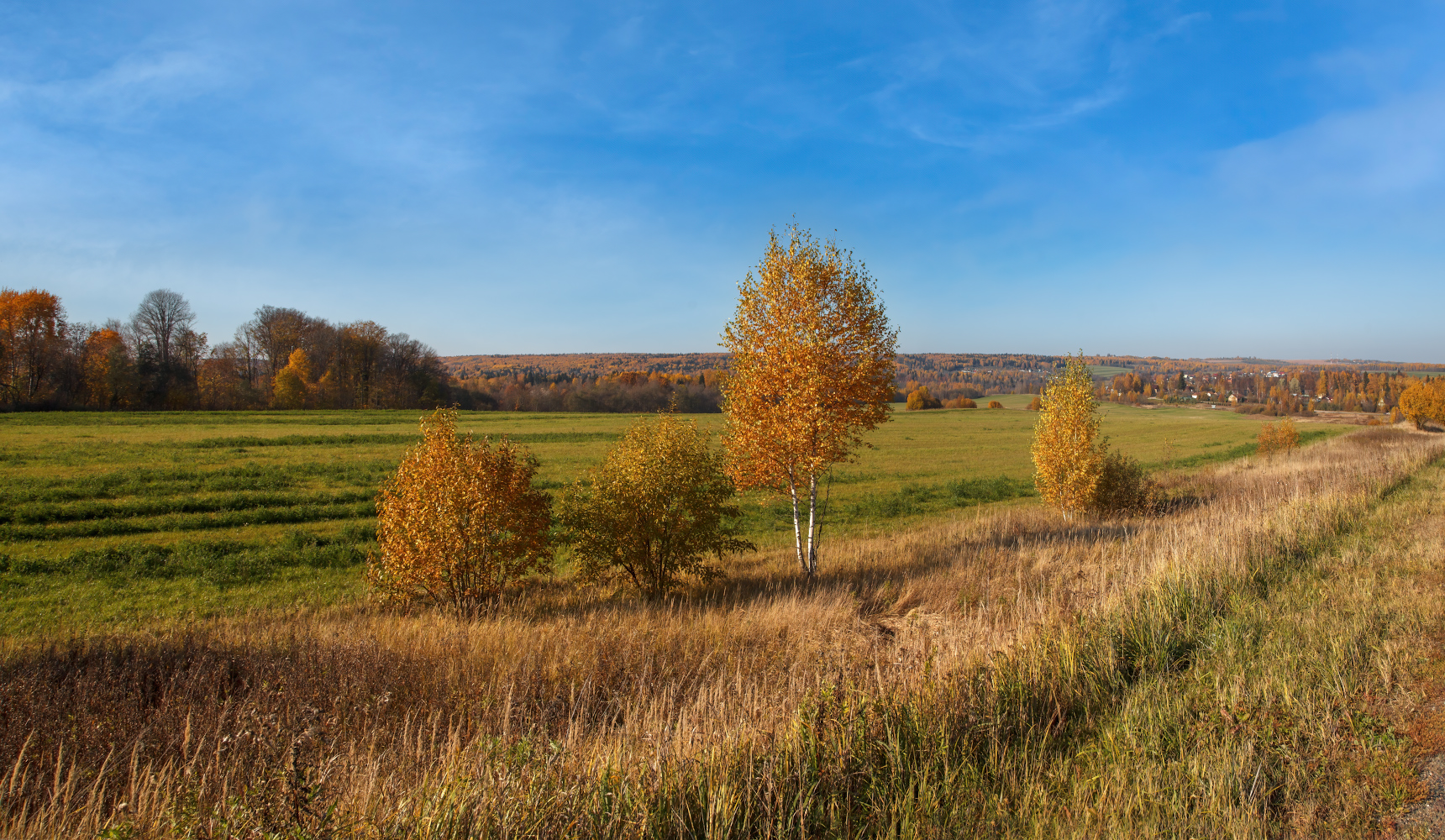 photo "***" tags: landscape, 