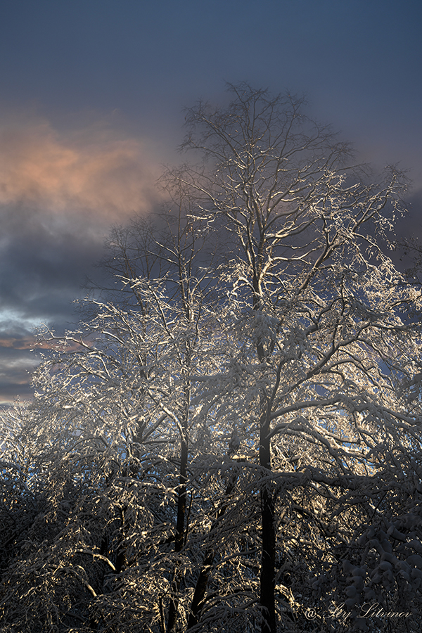 photo "***" tags: landscape, 