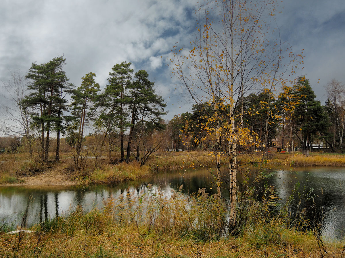 photo "***" tags: landscape, pond, станция Быково