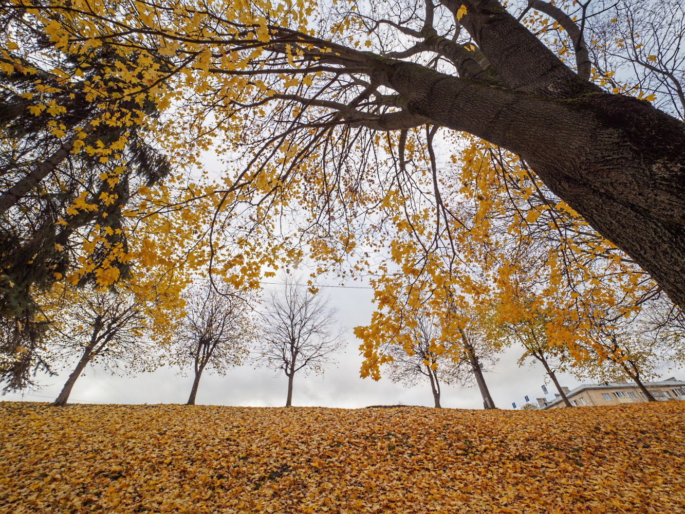photo "***" tags: landscape, 