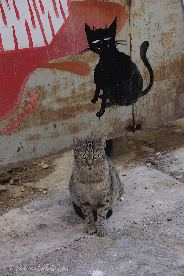 photo "Street Artist" tags: , Art, artist, cozy, decorative decoration decorate, goodvibes, harmony, humor streetphotography photo, imagination, inspiration, love, photography, pleasant, soft