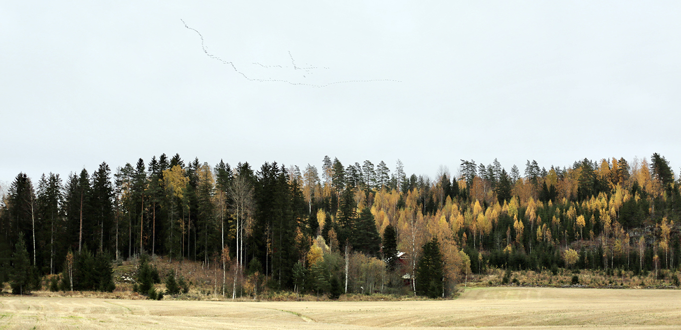 фото "***" метки: пейзаж, 