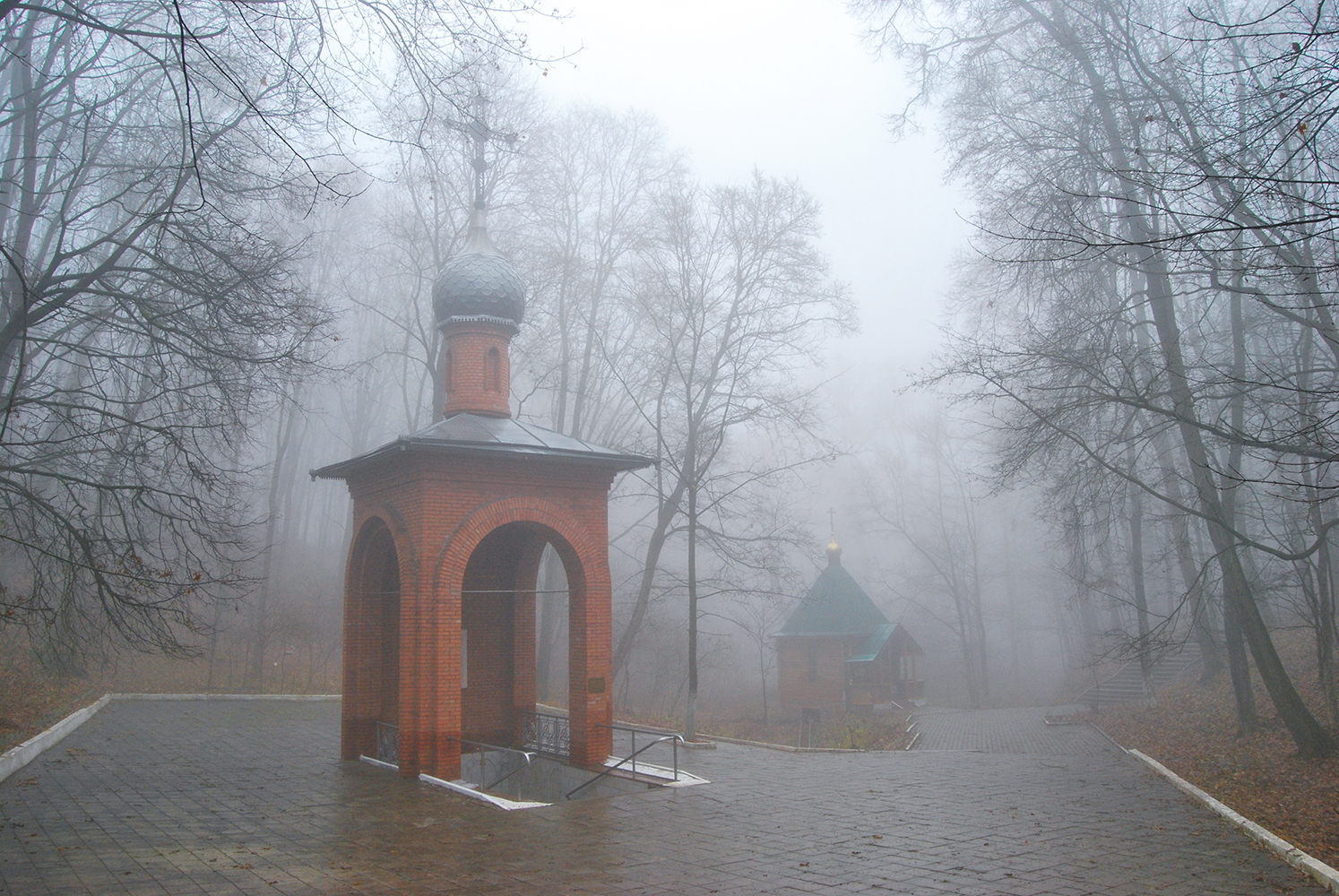 photo "***" tags: landscape, fog, forest