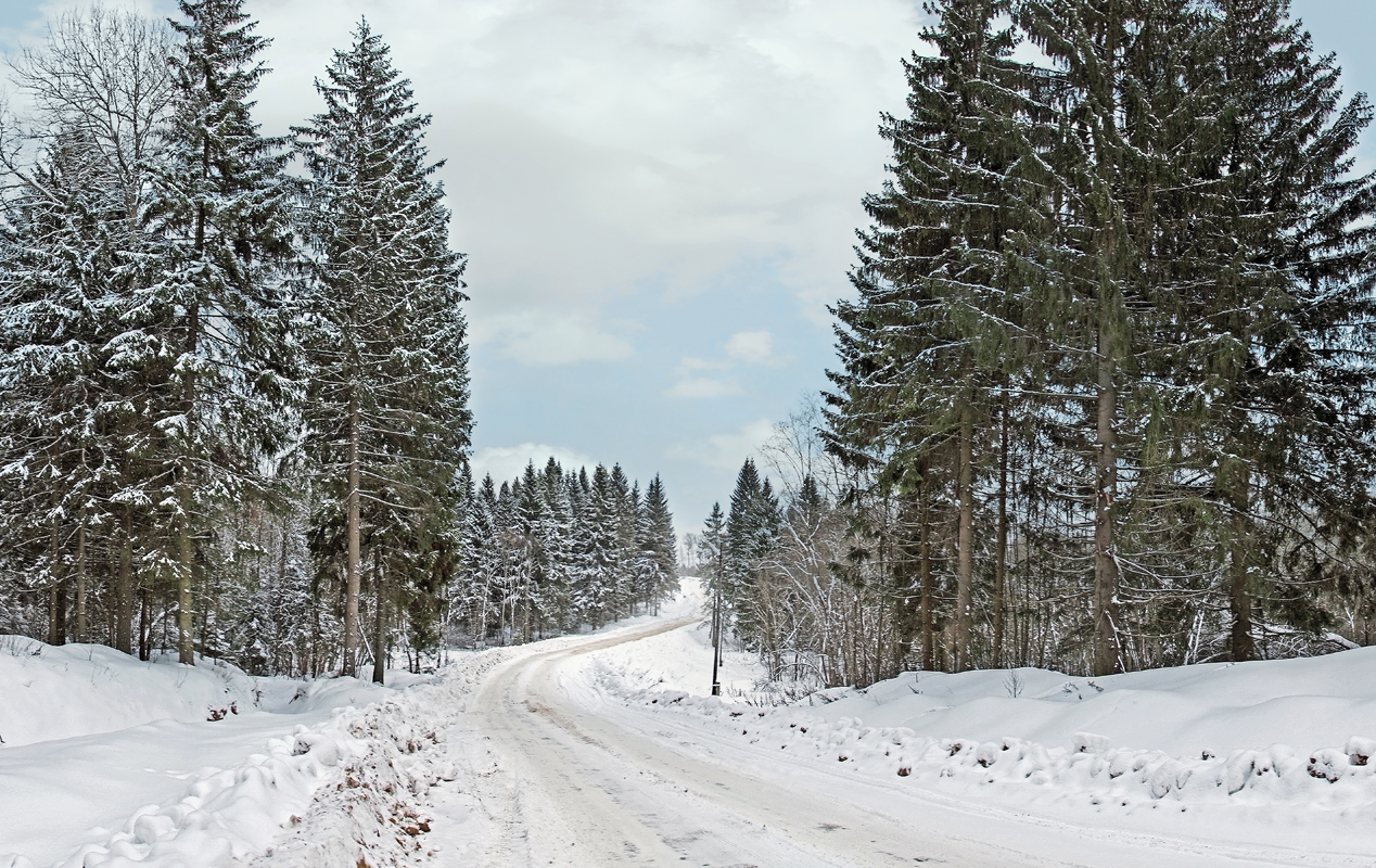photo "***" tags: landscape, travel, forest, road, snow, winter, глубинка, деревья