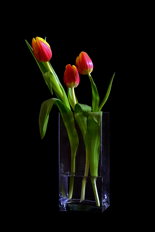 photo "***" tags: still life, 