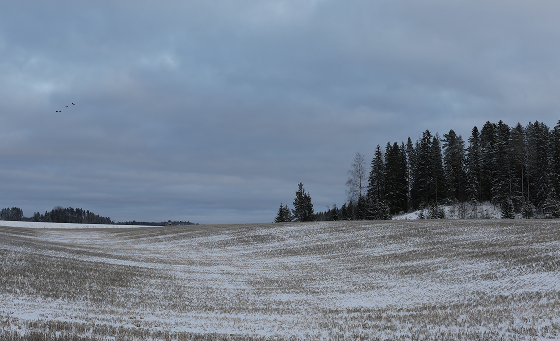 photo "***" tags: landscape, 