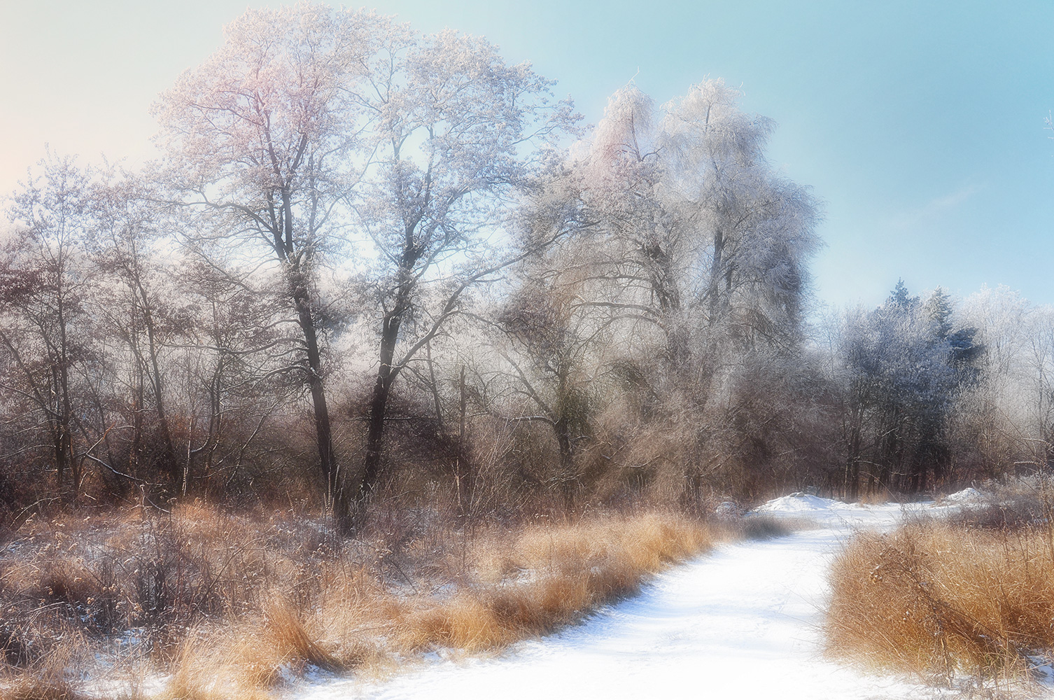 фото "***" метки: , 