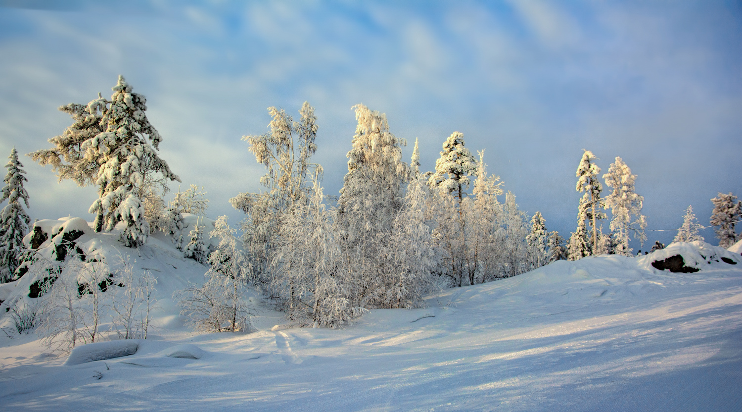 photo "***" tags: landscape, 