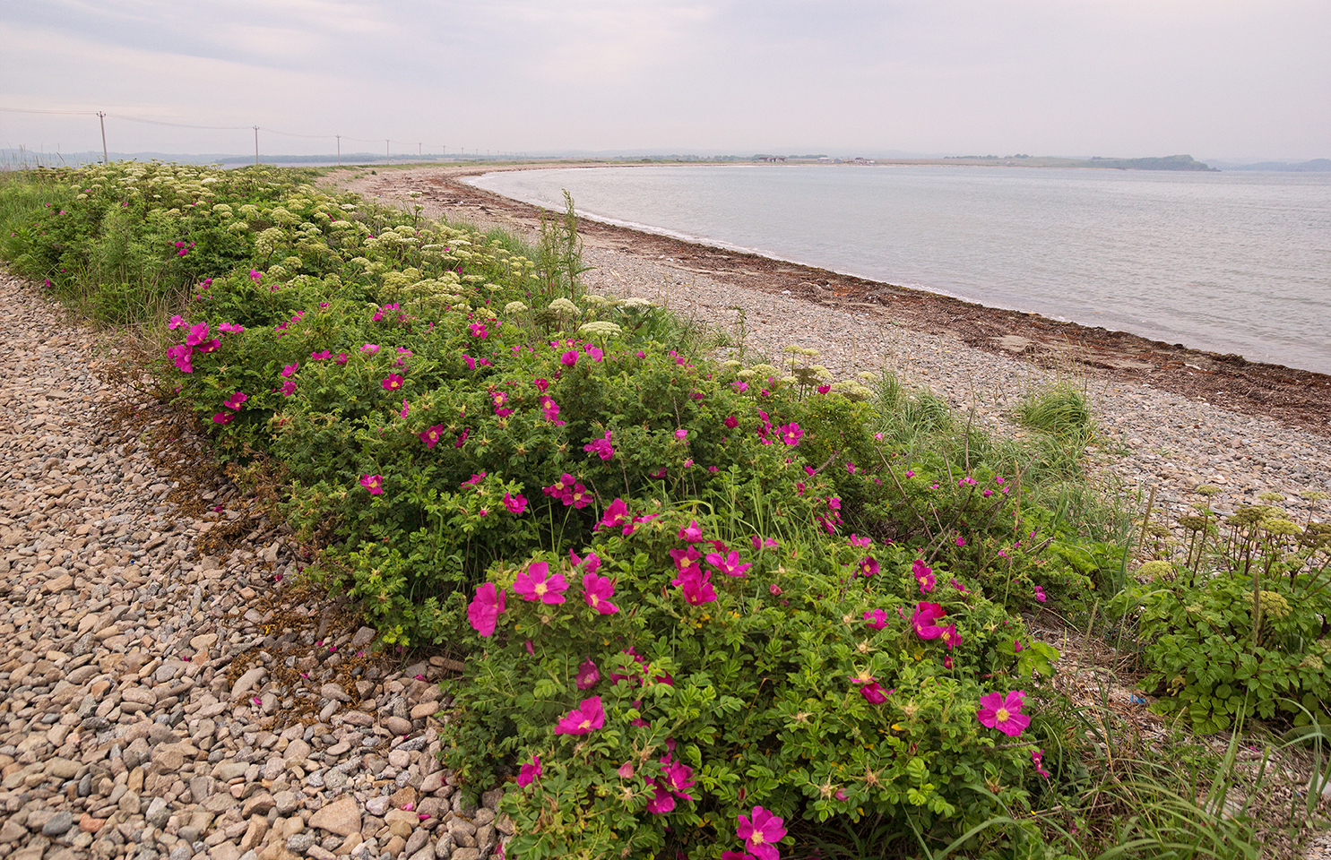 photo "***" tags: landscape, 