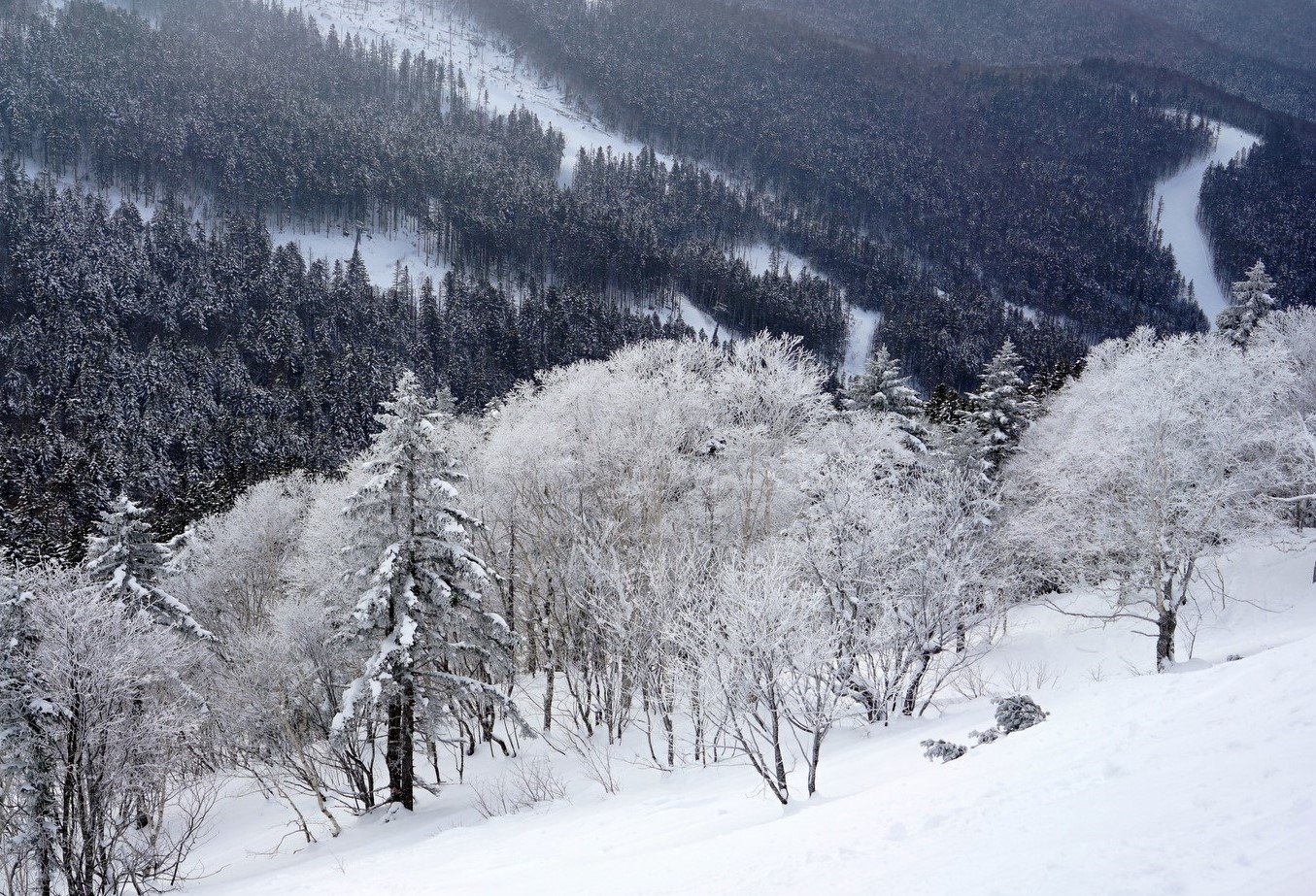 фото "***" метки: , 