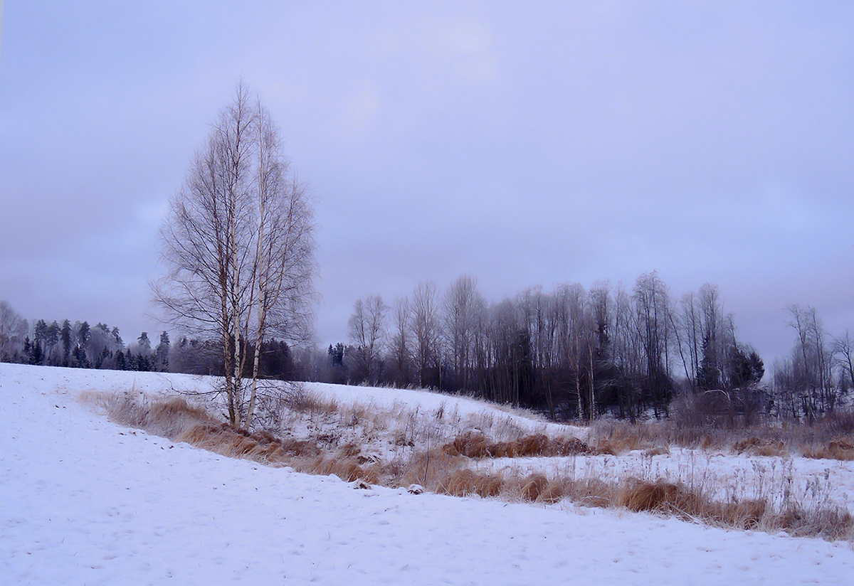 фото "***" метки: пейзаж, 