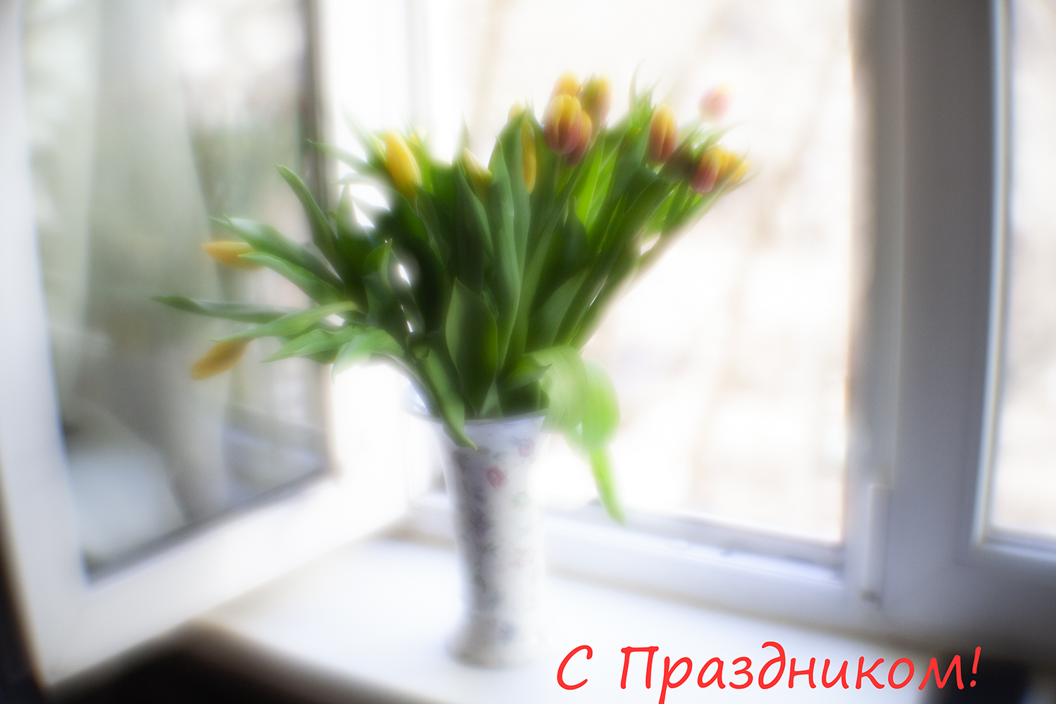 фото "весна на подоконнике" метки: , 