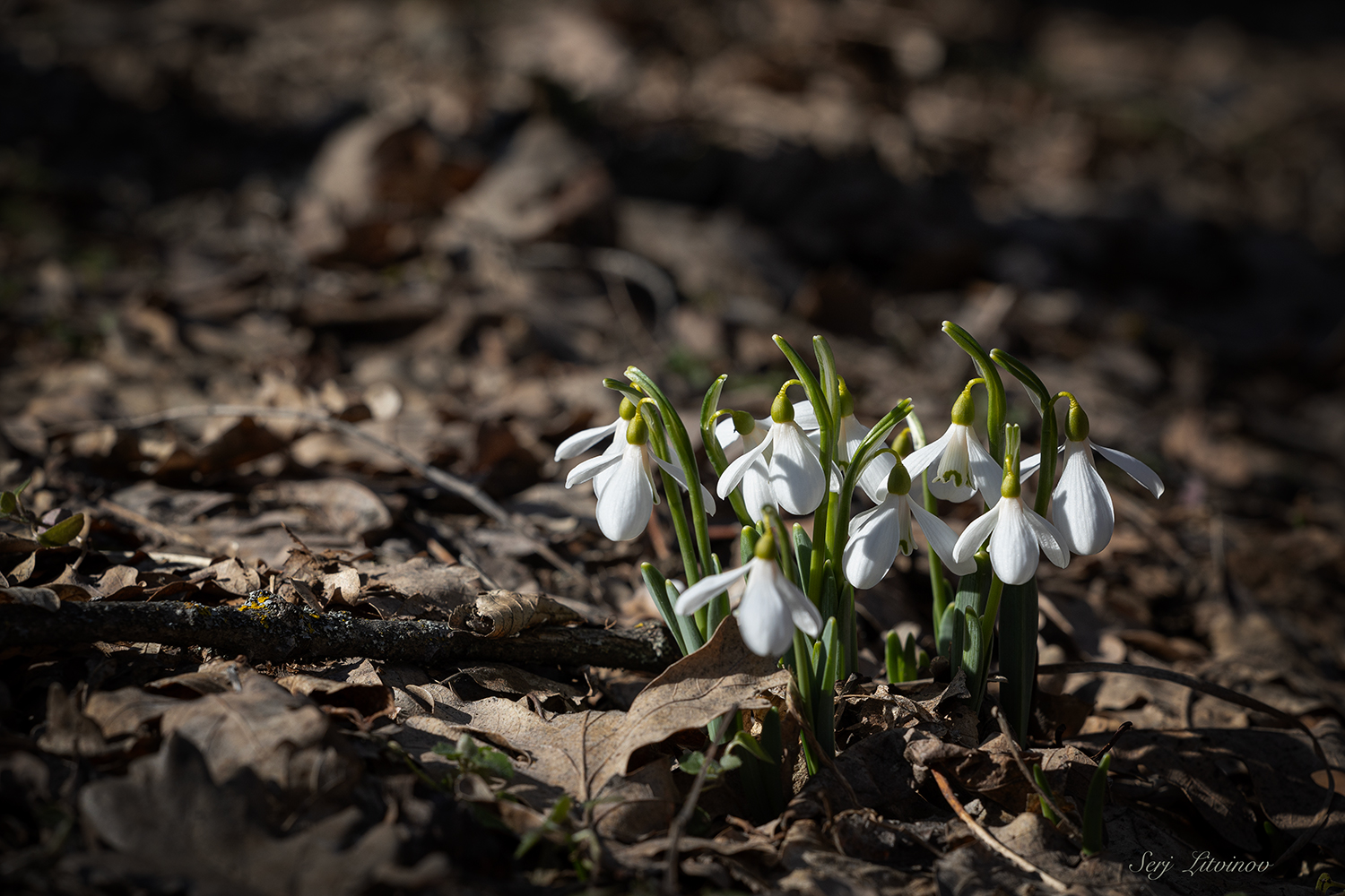 photo "***" tags: landscape, 