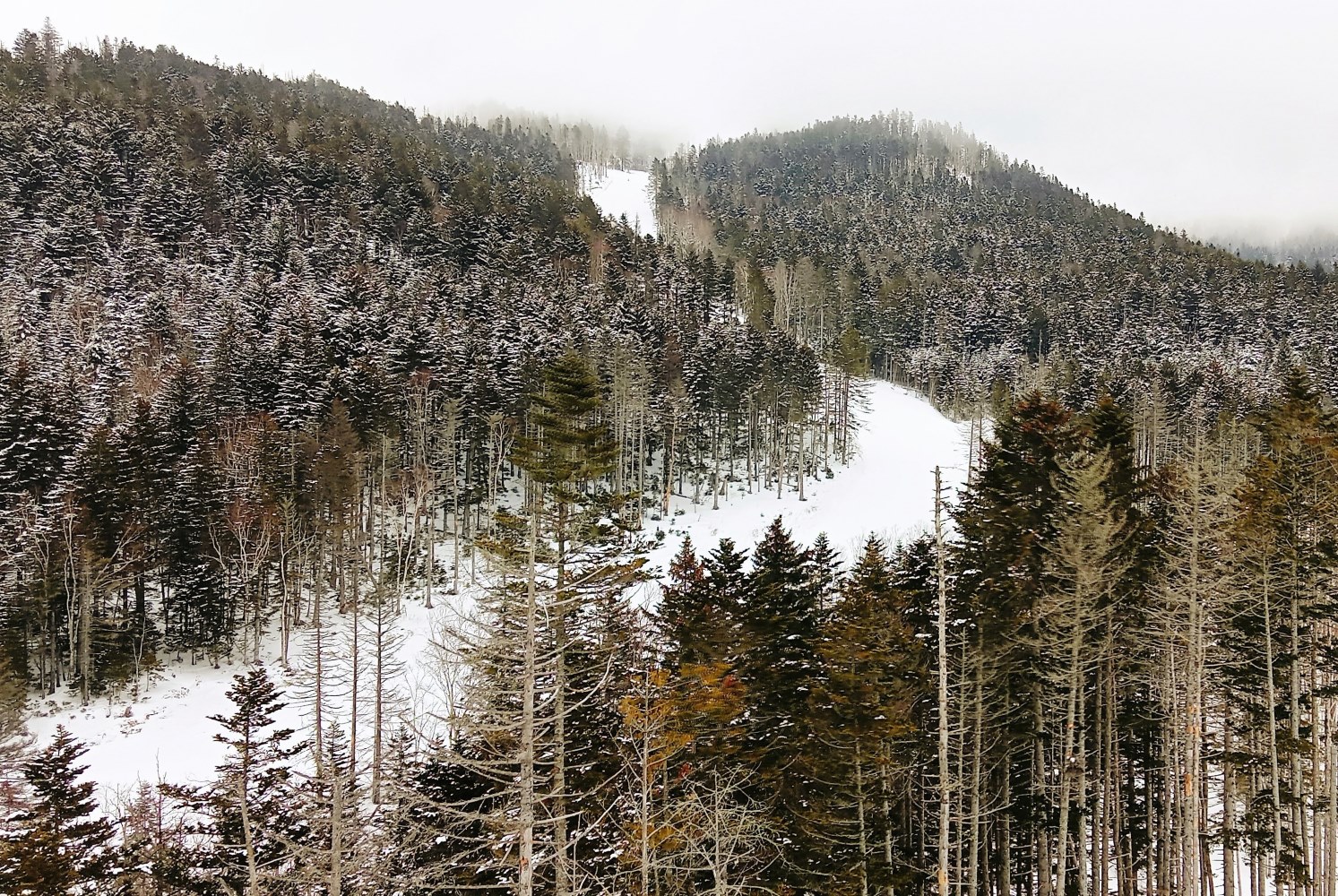 фото "***" метки: пейзаж, 