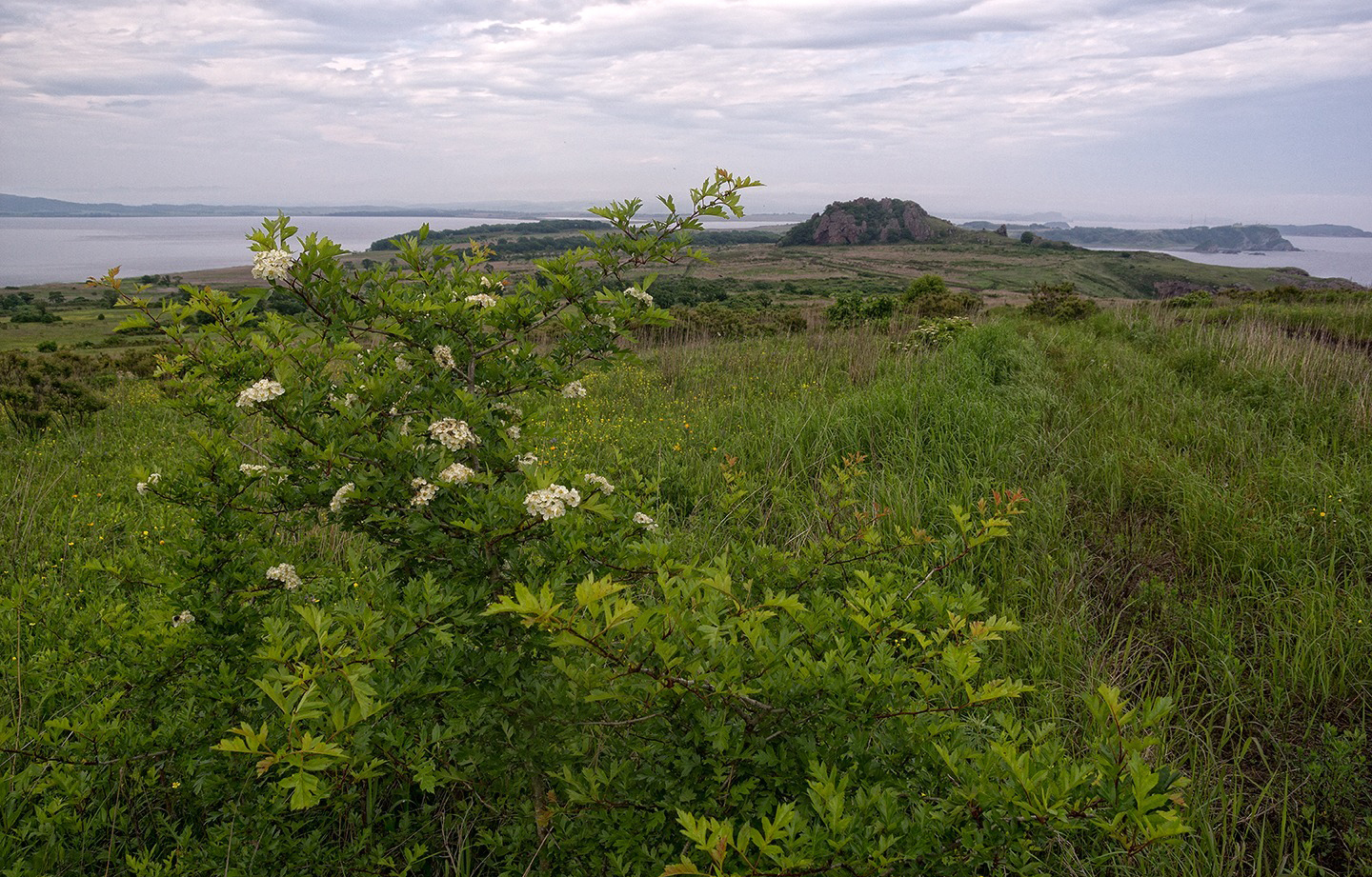 photo "***" tags: landscape, 