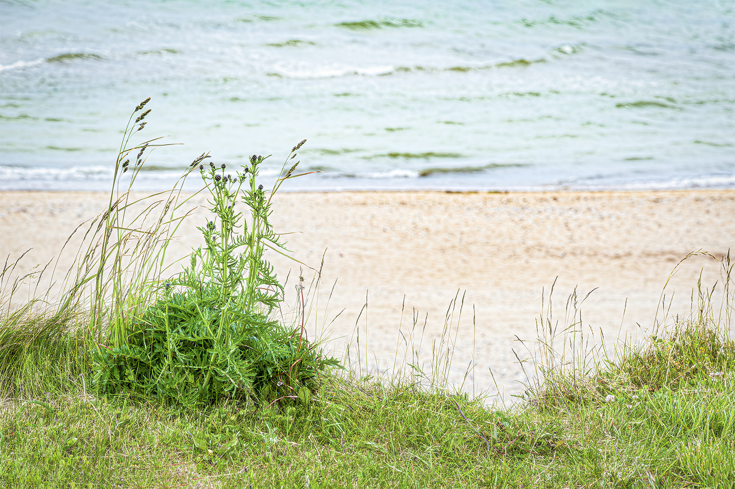 photo "Baltics 2" tags: landscape, 