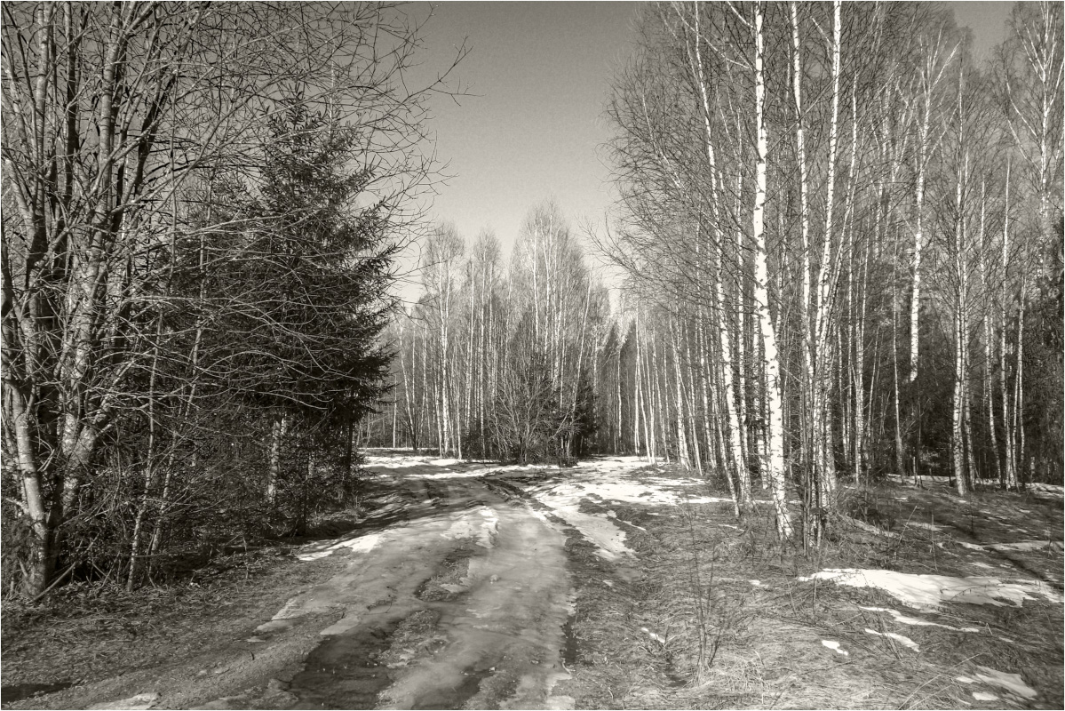 фото "весенняя..." метки: пейзаж, 