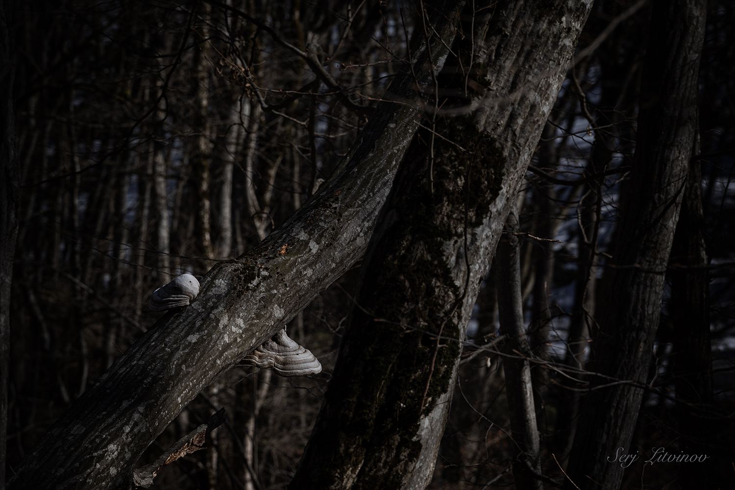 photo "***" tags: landscape, 