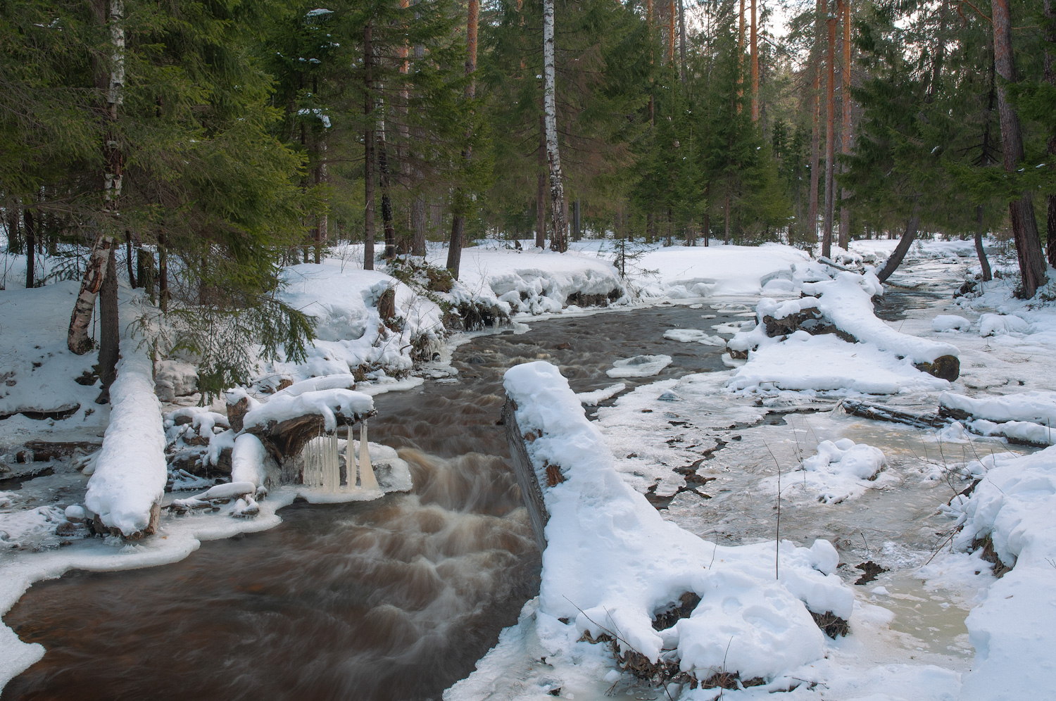 photo "***" tags: landscape, 