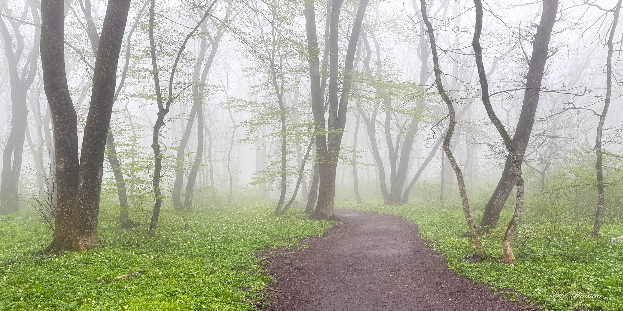 photo "***" tags: landscape, 