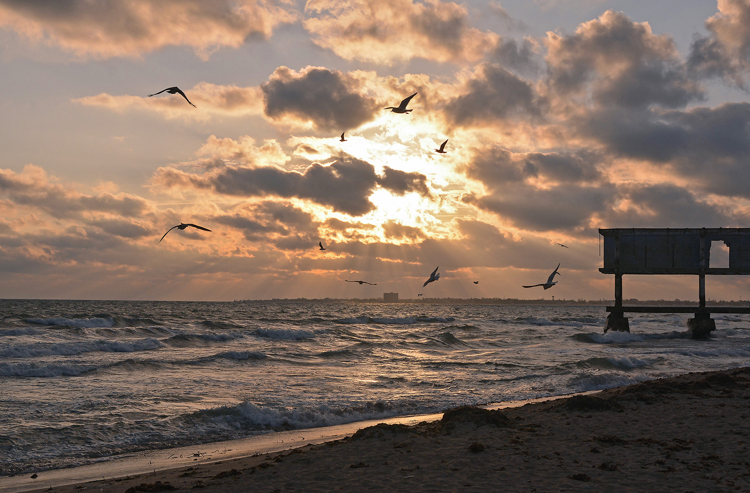 photo "***" tags: landscape, 