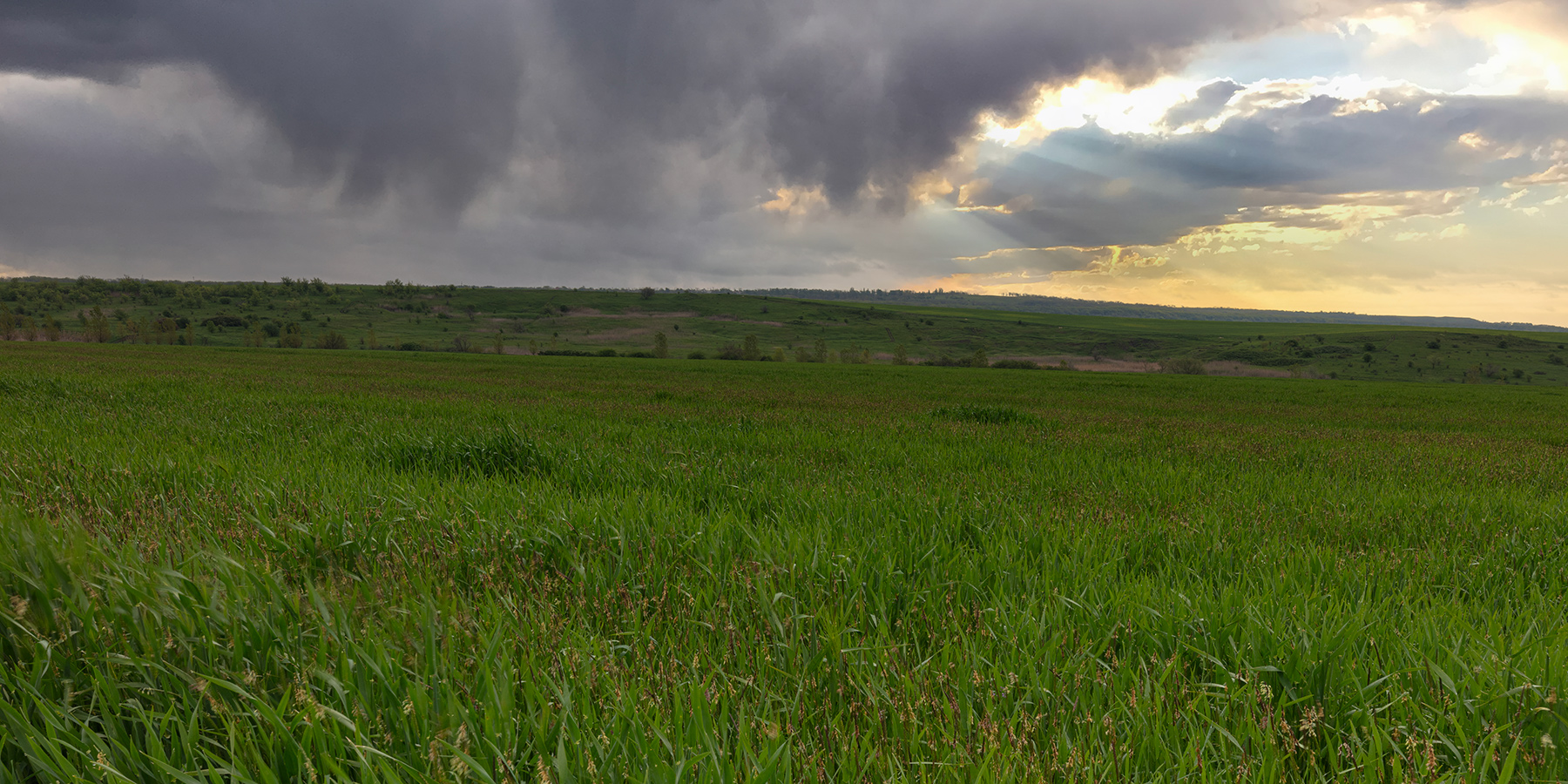photo "***" tags: landscape, 
