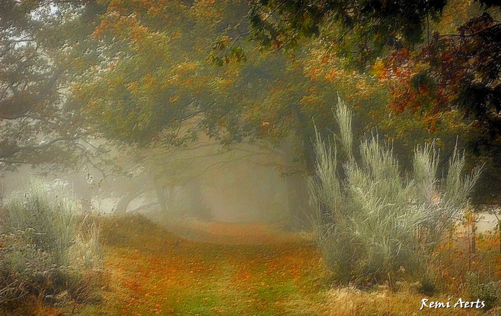 photo "***" tags: landscape, nature, 