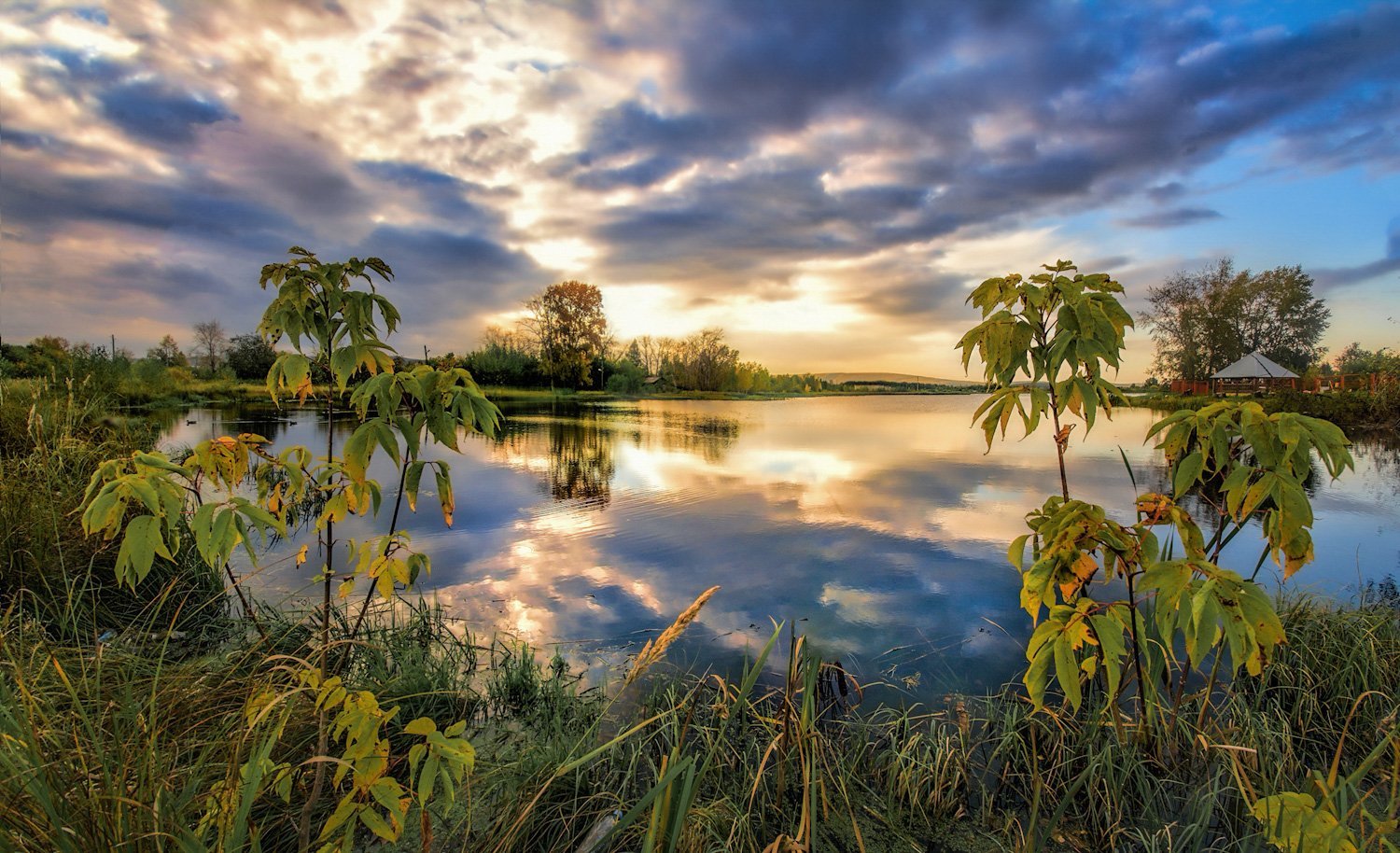 photo "***" tags: landscape, 