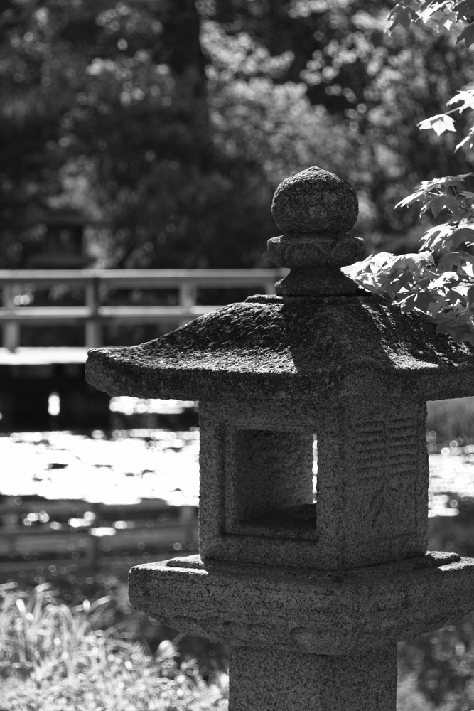 photo "***" tags: nature, black&white, misc., 