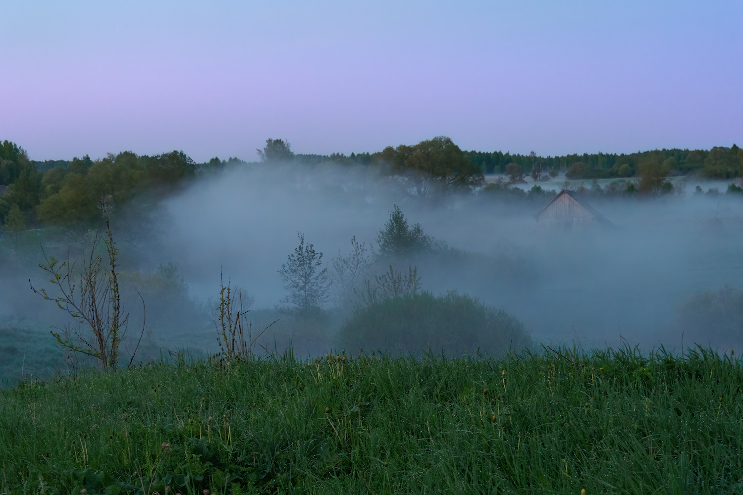 photo "***" tags: landscape, 