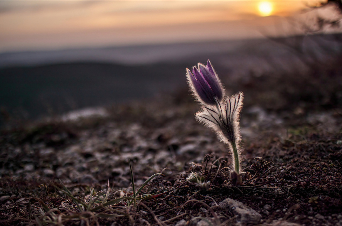 photo "***" tags: landscape, nature, 