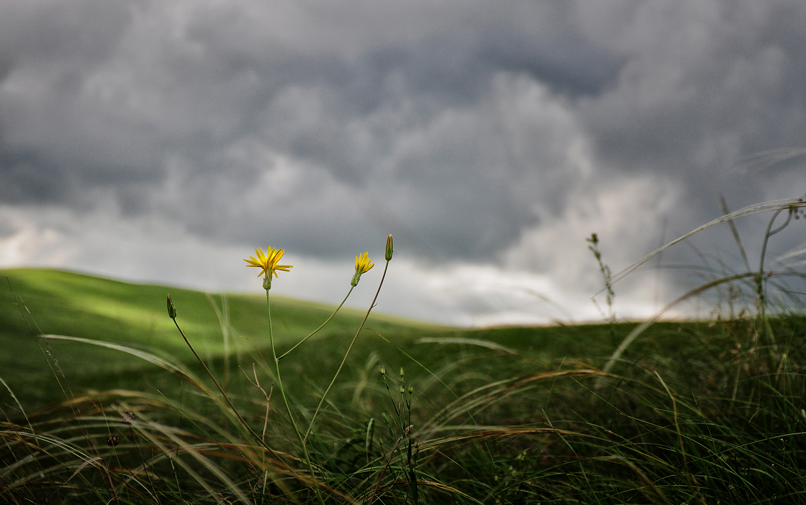 photo "***" tags: , 