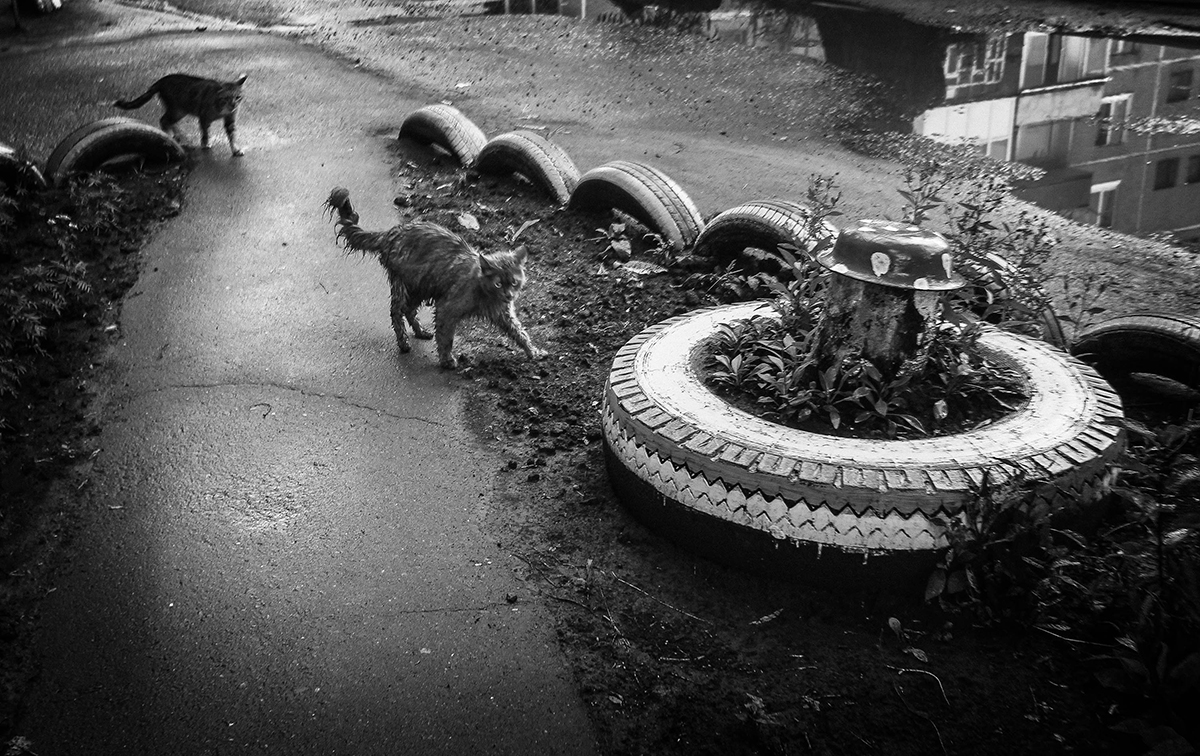 photo "***" tags: black&white, misc., 