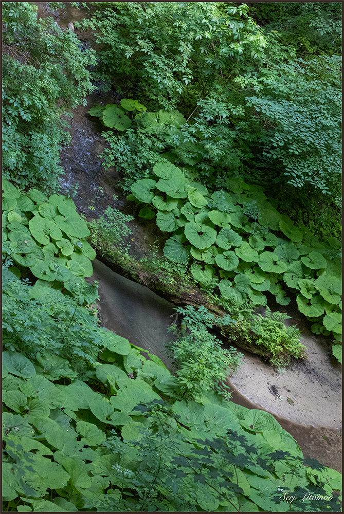 photo "***" tags: landscape, 
