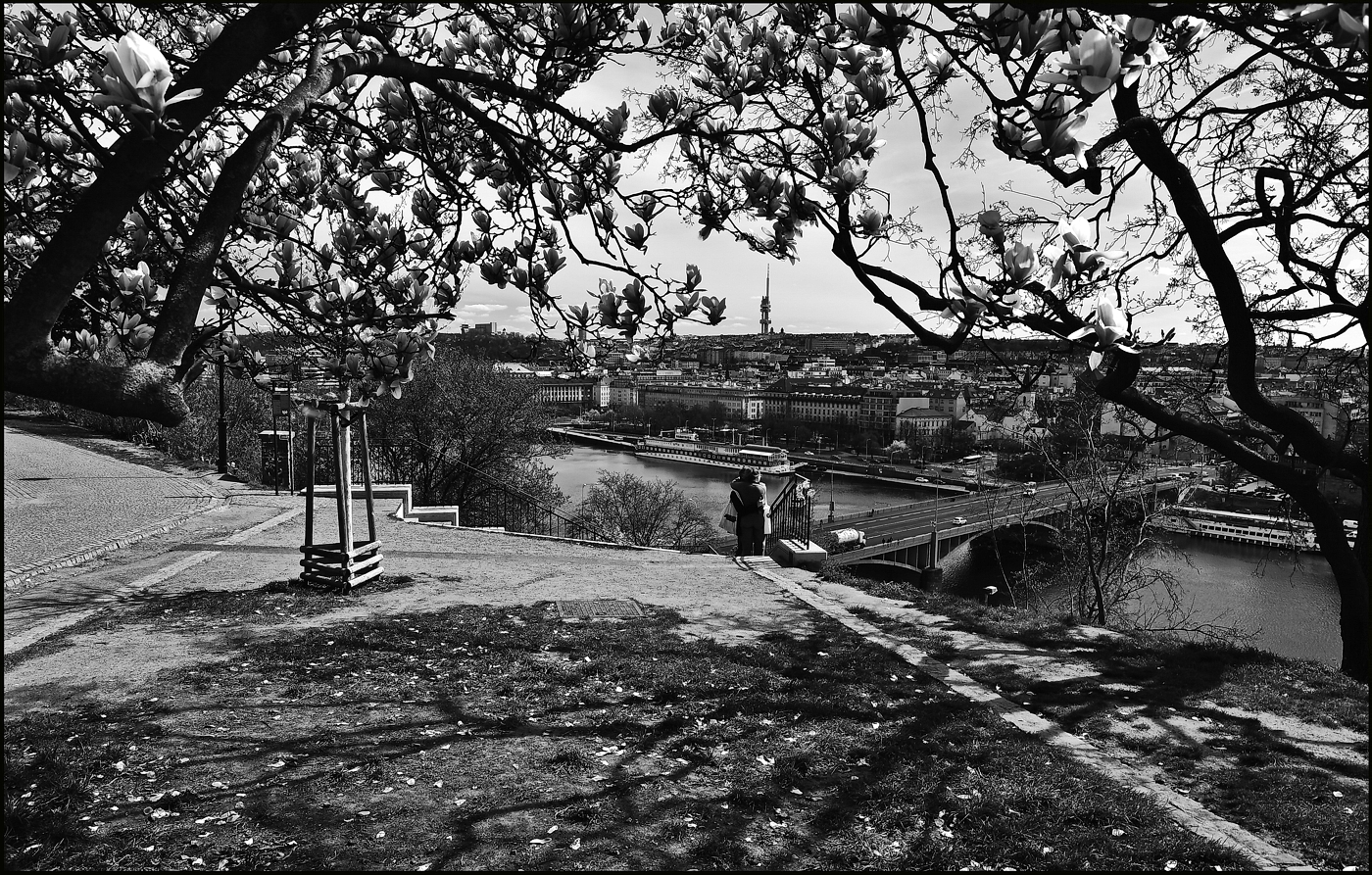 фото "На Летне" метки: черно-белые, архитектура, Prag Prague Praha