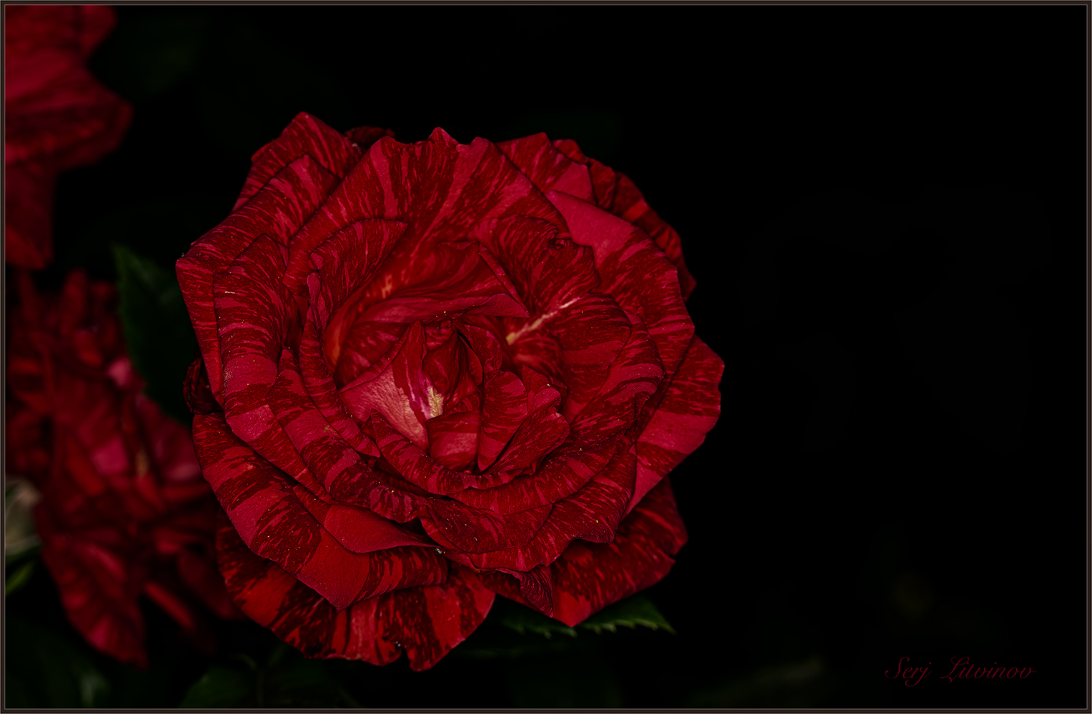 photo "***" tags: nature, 