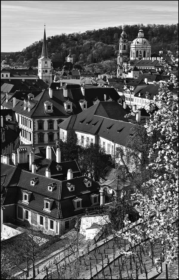 фото "Башни и крыши Малой Страны-2" метки: черно-белые, архитектура, Prag Prague Praha