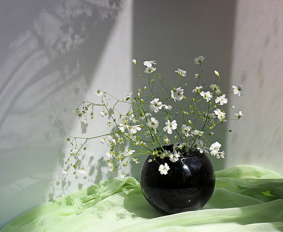 photo "***" tags: still life, flowers, light, ваза, тени