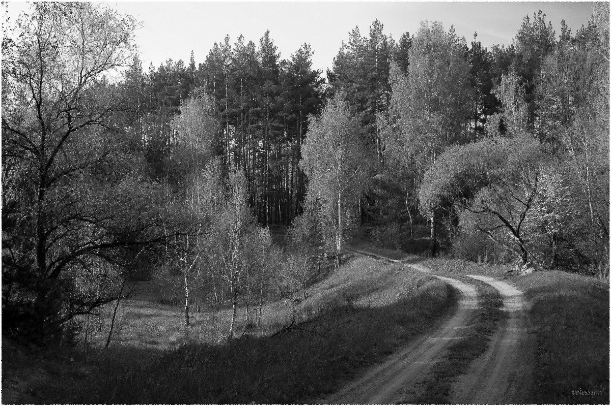 photo "***" tags: landscape, black&white, 