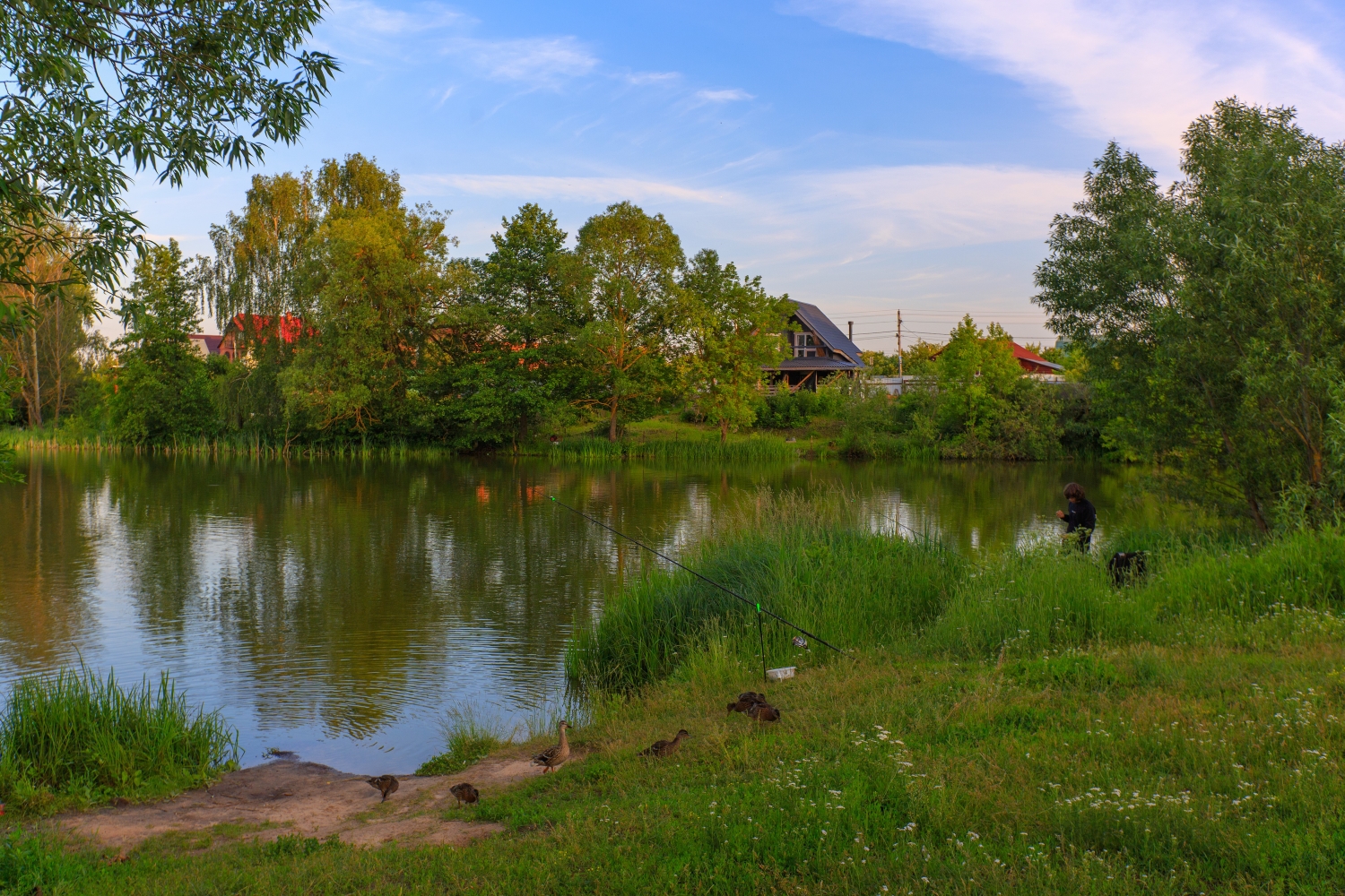 photo "***" tags: , 